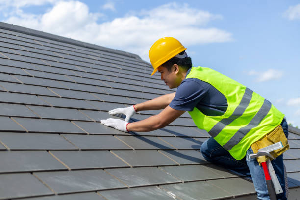 Roof Gutter Cleaning in Ridgeville, SC