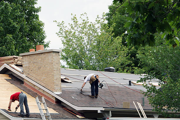 Best Storm Damage Roof Repair  in Ridgeville, SC